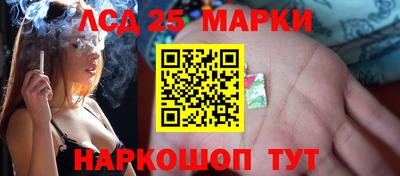Альфа ПВП Донецк