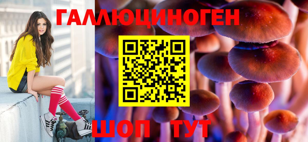 Майкоп  Галлюциногенные грибы ЛСД  Вход с VPN 